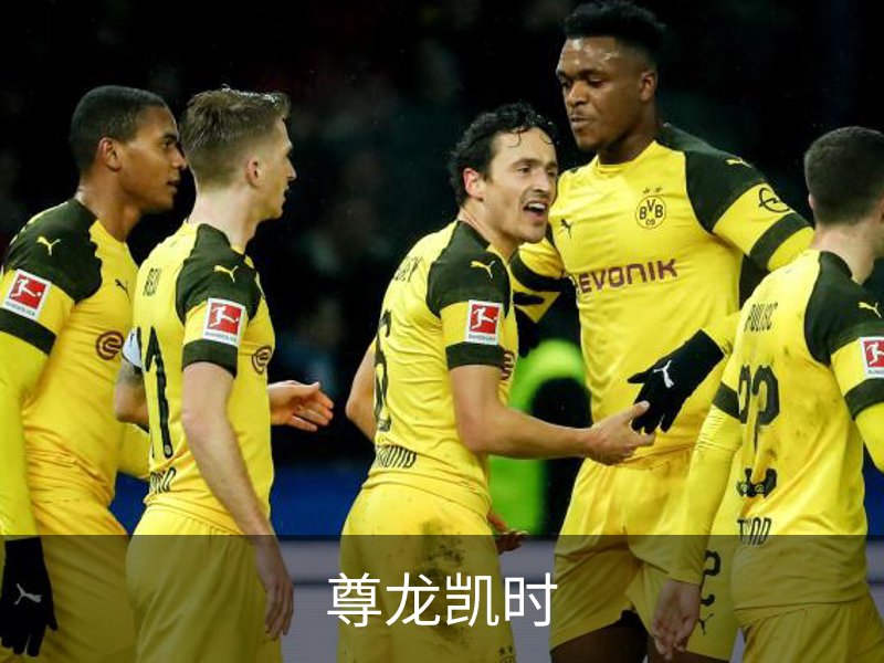 了解尊龙凯时