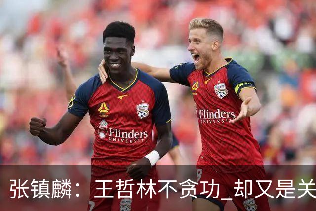 张镇麟：王哲林不贪功 却又是关键时刻能站出来的人 队长当之无愧